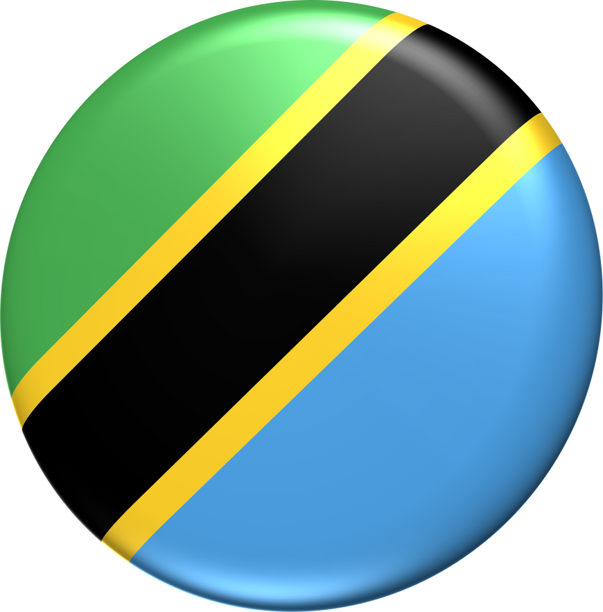 Tanzania flag 3D rendering circle glossy